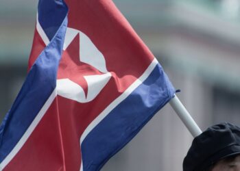 Офицер из России: северокорейские бойцы сражаются на СВО как вагнеровцы