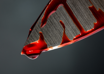 15-летняя москвичка зарезала собственного отца на юго-западе столицы