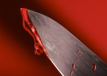 Ругали за «четверки»: как жила 15-летняя москвичка, зарезавшая отца