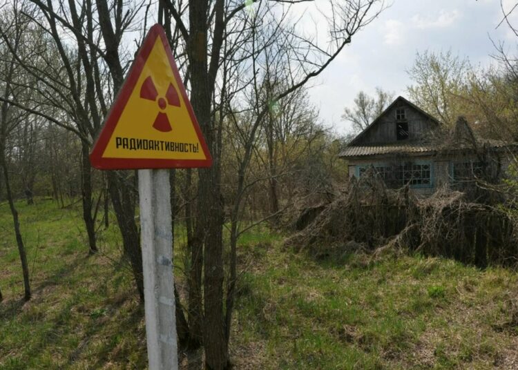 Ученые изучили ДНК собак из Чернобыля: шокирующие результаты