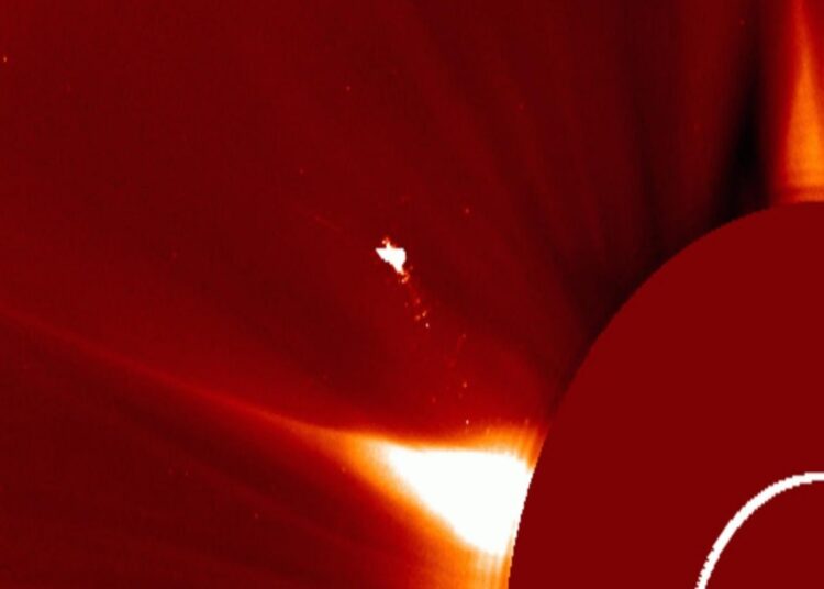 Российские академики увидели над Солнцем огненную «птицу»