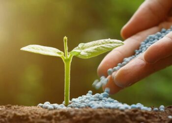 Американцы массово скупают один важный российский товар