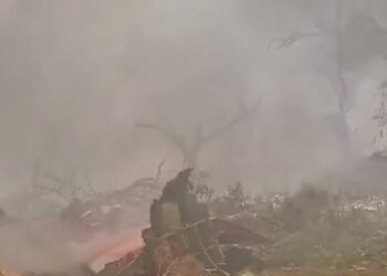 В Индии на землю упал самолет с 242 пассажирами на борту. Последние подробности