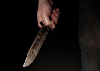 Бывший муж зарезал в лесу известную волонтершу «ЛизыАлерт» Манюню