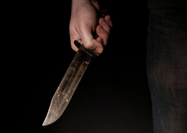 Бывший муж зарезал в лесу известную волонтершу «ЛизыАлерт» Манюню