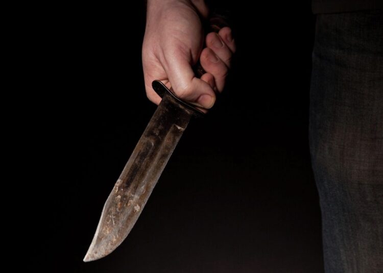 Решена судьба мигрантов, освежевавших барана на детской площадке в Москве