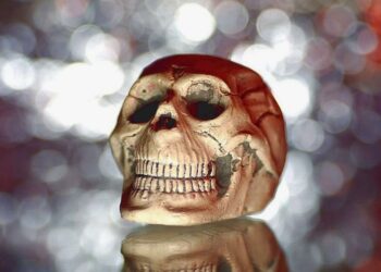 Служба досмотра Крымского моста нашла в багаже туристки настоящий человеческий череп