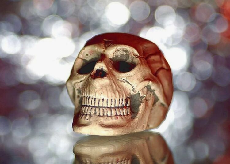 Служба досмотра Крымского моста нашла в багаже туристки настоящий человеческий череп