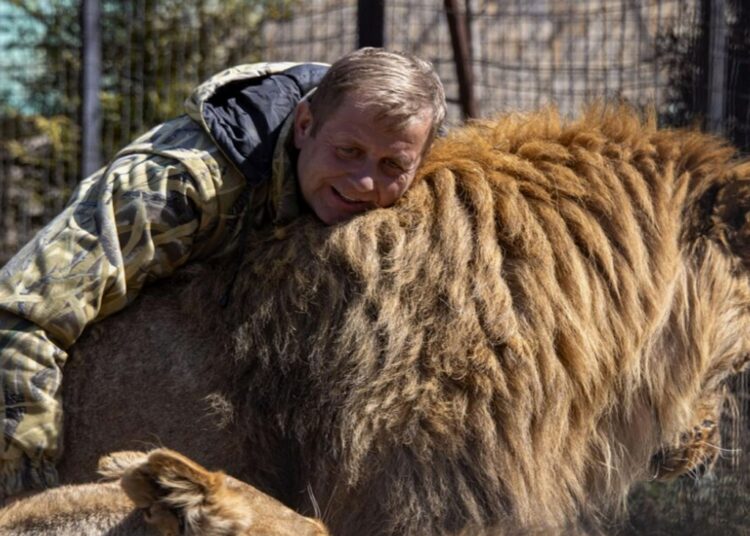 На хозяина парка животных в Крыму напали львы-людоеды, которым он сохранил жизнь