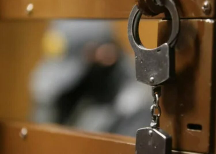 Сооснователь «Смысловых галлюцинаций» получил 3 года колонии за пьяную поножовщину