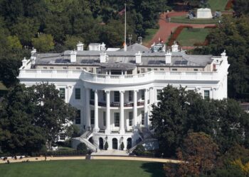 В Белом доме заявили, что Путин и Зеленский готовы сесть за один стол переговоров