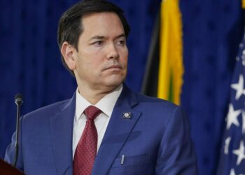 Госсекретарь США проговорил возможность капитуляции Киева перед встречей Зеленского и Трампа