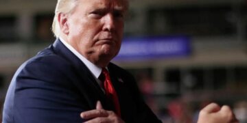 Западные СМИ: Трамп будет в ярости, если Уиткофф не договорится с Путиным