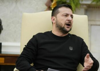 «Трамп разгромил Зеленского»: политик из ЕС о последствиях препятствования миру со стороны Киева