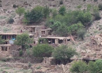 Власти Афганистана привели новые шокирующие подсчеты жертв землетрясения