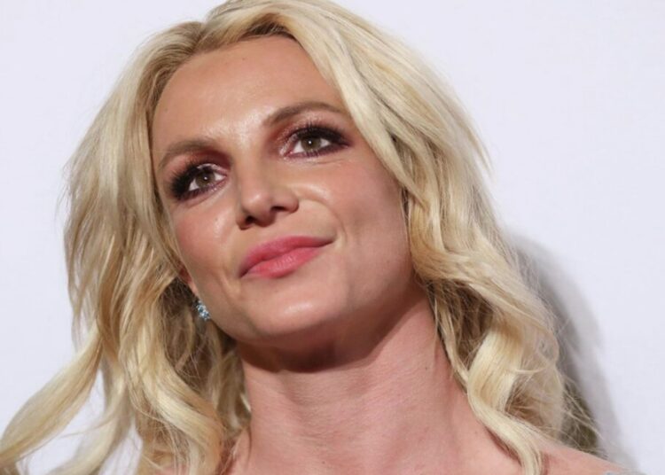 Друзья Бритни Спирс: певица живет в доме с собачьими испражнениями