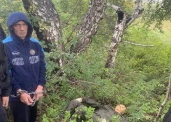 «Политеховского маньяка» Манишина осудили на 25 лет лишения свободы