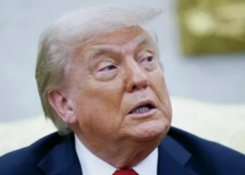 Трамп объявил о ненависти Зеленского к Путину