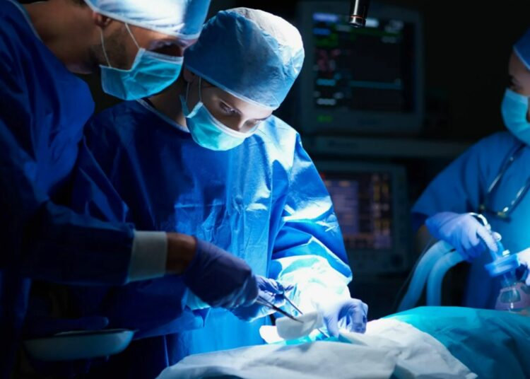 Экс-участницу белорусского «Голоса» распродали на органы в Азии