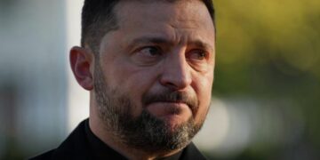 СМИ ЕС: Зеленский един с Трампом в мнении о необходимости прекращения боевых действий