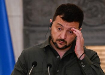 В Европе назвали условие, при котором Зеленский может решиться приехать в Москву