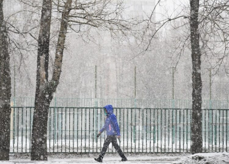 Россиянам рассказали, какой будет предстоящая зима