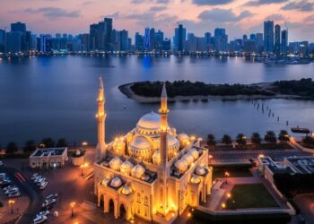 Появились новые подробности загадочной смерти «друга Дурова» в ОАЭ