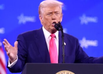 Трамп сделал заявление после обсуждения мирного плана на Украине в ОАЭ