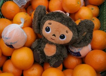 «Чебурашка-то еврей»: в России сделали неожиданное заявление о национальности любимого мультгероя