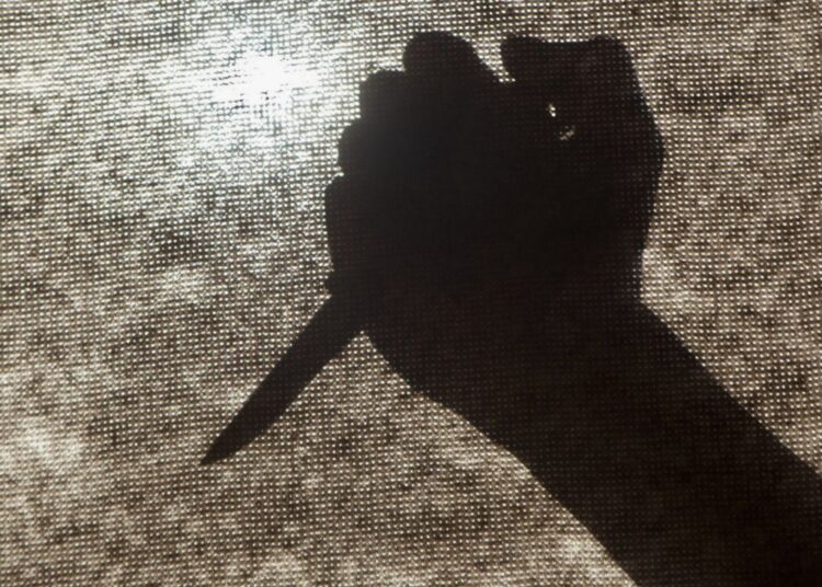 Снова Питер и снова нож: 13-летняя петербурженка зарезала родную мать