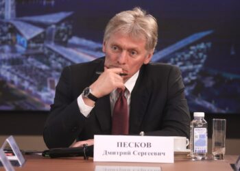 Песков: Россия не в курсе принятия Украиной мирного плана США