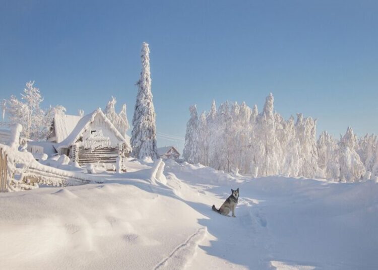 Россиянам рассказали о том, какой будет предстоящая зима
