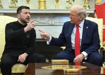 Трамп разочаровался в Зеленском и его отношении к мирному плану