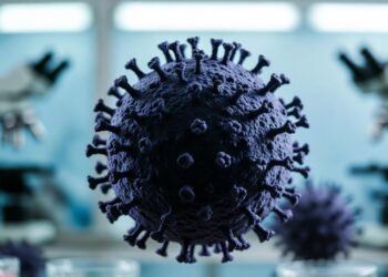 Угроза 2026 года: ученый рассказал о возможной новой пандемии из-за «болезни X»