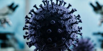 Угроза 2026 года: ученый рассказал о возможной новой пандемии из-за «болезни X»