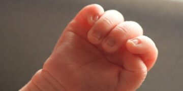 Стали известны предварительные итоги экспертизы гибели младенцев в Новокузнецке