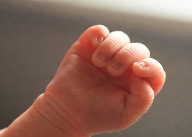 Стали известны предварительные итоги экспертизы гибели младенцев в Новокузнецке