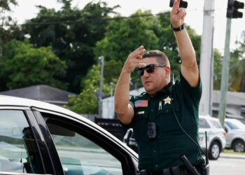 Полицейские США задержали русского деда, 16 лет кошмарившего весь Майами