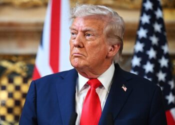 Трамп теряет терпение: диалог с Зеленским идет тяжелее, чем с Путиным