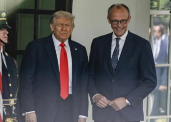 Дональд Трамп ударил канцлера Фридриха Мерца. Видео