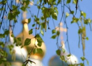 Ни в коем случае не делайте этого на Троицу: о чем предупредил священник