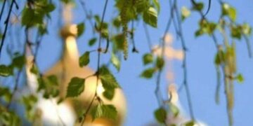Ни в коем случае не делайте этого на Троицу: о чем предупредил священник