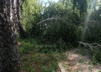 Школьница погибла на глазах друзей: жуткие подробности трагедии