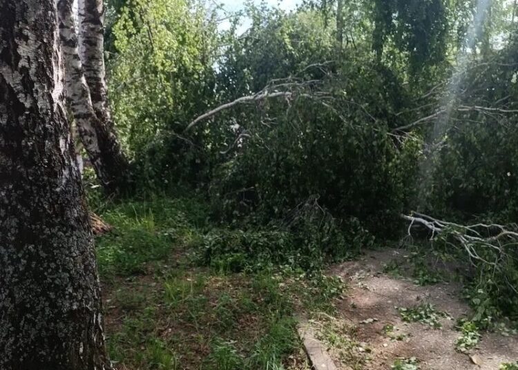 Школьница погибла на глазах друзей: жуткие подробности трагедии