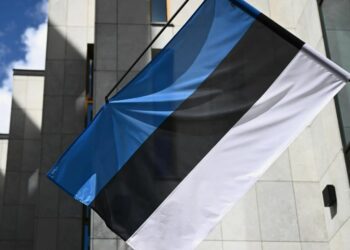 Эстонских русофобов наказали уже не на локальном, а на международном уровне