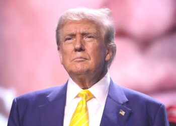 Выяснилось, зачем Трамп позвал Путина на саммит G20 во Флориде