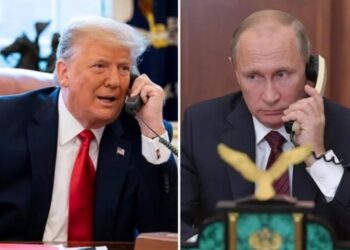 Путин и Трамп провели новый телефонный разговор: о чем договорились лидеры двух государств
