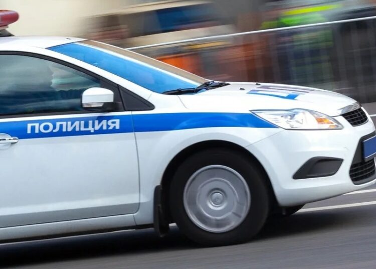 Расчленение женщины в Москве: подозреваемый в убийстве Елены Церетели задержан