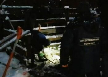 Дмитрий Артамошин, известный как «Богородский маньяк», поедет на СВО